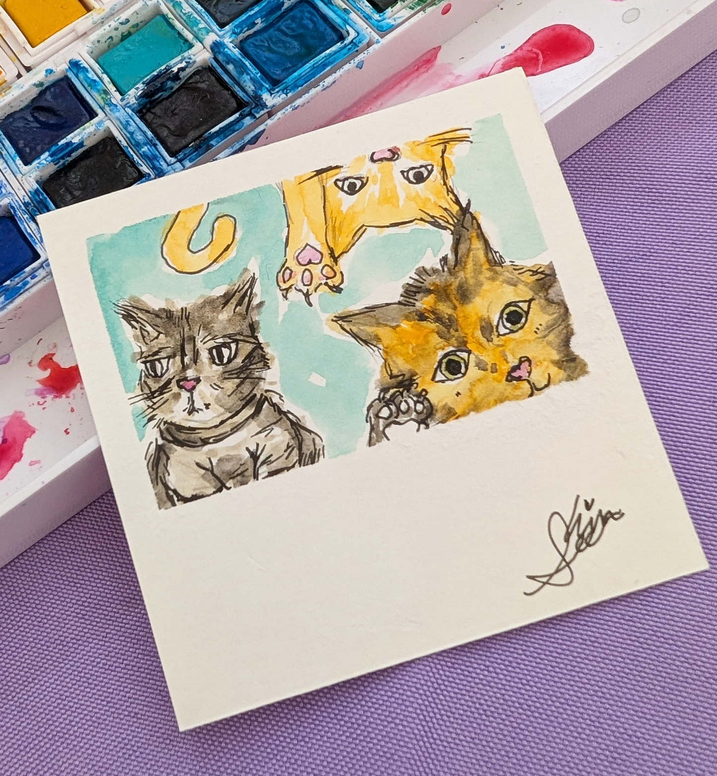 Custom Polaroid Cards